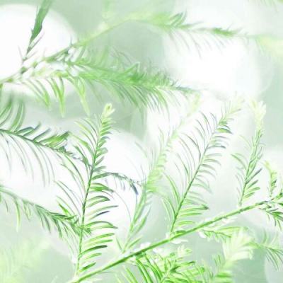 猎妖手游九游版本下载